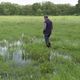 En cette fin du mois de mai, de l'eau stagne dans le marais de Châteauneuf en Illle-et-Vilaine.