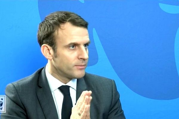 Emmanuel Macron lors du live facebook du WWF