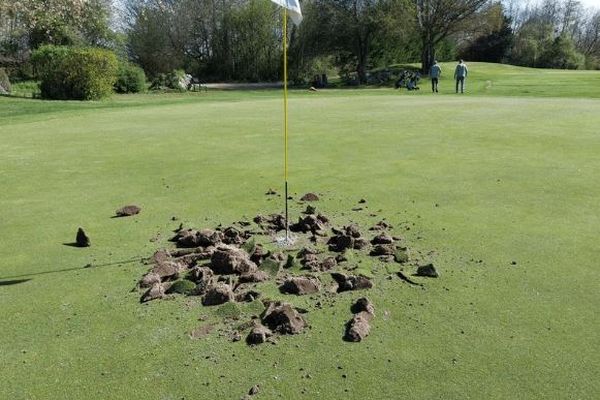 C'est la seconde fois en un an que ce golf est victime de vandalisme.
