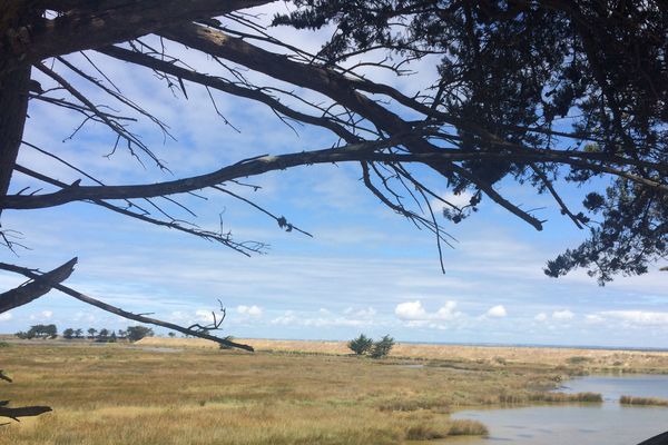 Paysage près du passage du Gois, qui relie le continent à l'île de Noirmoutier (Vendée)