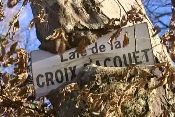 Les plaques sont dévorées par les arbres