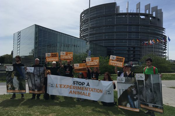 Une douzaine de membres de One Voice se sont rassemblés devant le Parlement européen