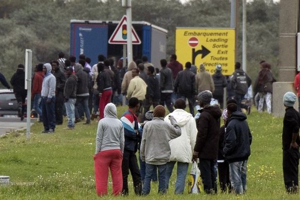 Des migrants tentant d'embarquer dans des camions, à Calais, à l'entrée du terminal ferry.