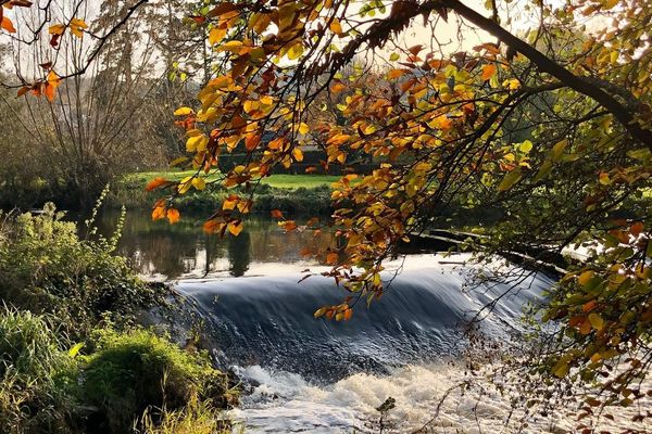 Le Léguer avec son habit d'automne