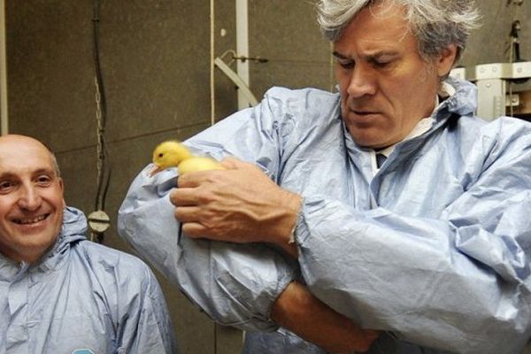 Le ministre de l'Agriculture en visite à Toulouzette (Landes), dans une canetonière.