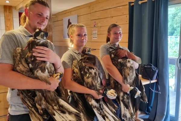 Au total, dix aiglons vont être relâchés en pleine nature début septembre.