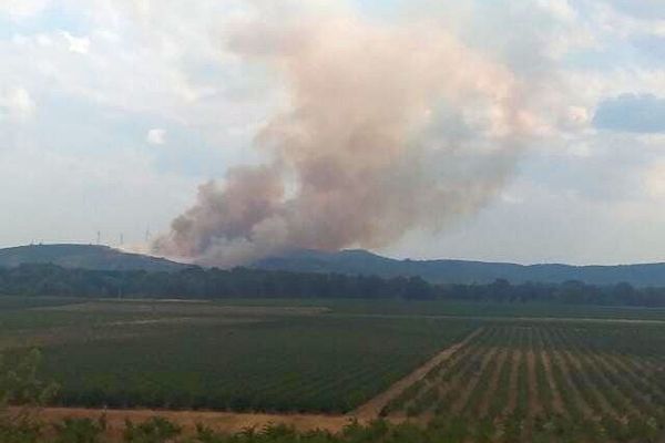 Névian (Aude) - un feu est en cours - 14 août 2022.