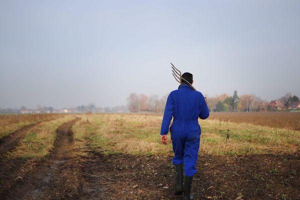 Des observatoires départementaux contre les actes de malveillance envers les agriculteurs vont voir le jour - Photo d'illustration