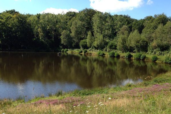 L'étang à Morleix sur la commune de Saint-Sulpice-les-Champs, en Creuse, où a été retrouvé le corps de l'enfant.