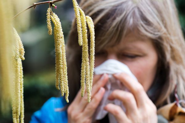 Avec le retour du printemps, les allergies débarquent