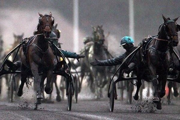 Grand Prix d'Amérique : Maharajah rapporte le trophée en Suède.