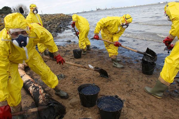 Une équipe de nettoyage sur la Loire suite à la pollution à la raffinerie Total en mars 2008