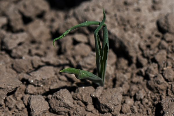 La sécheresse s'est poursuivie au cours de l'hiver 2023, ce qui laisse craindre un nouvel été dangereux pour l'agriculture.