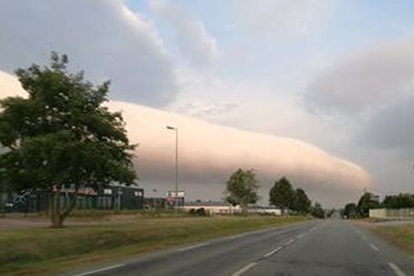 Ce volutus a pris ses aises dans le ciel de Lessay (50)