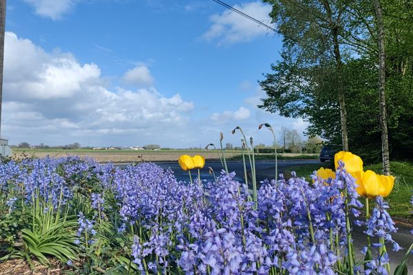 Vive le printemps et la nature qui s'éveille