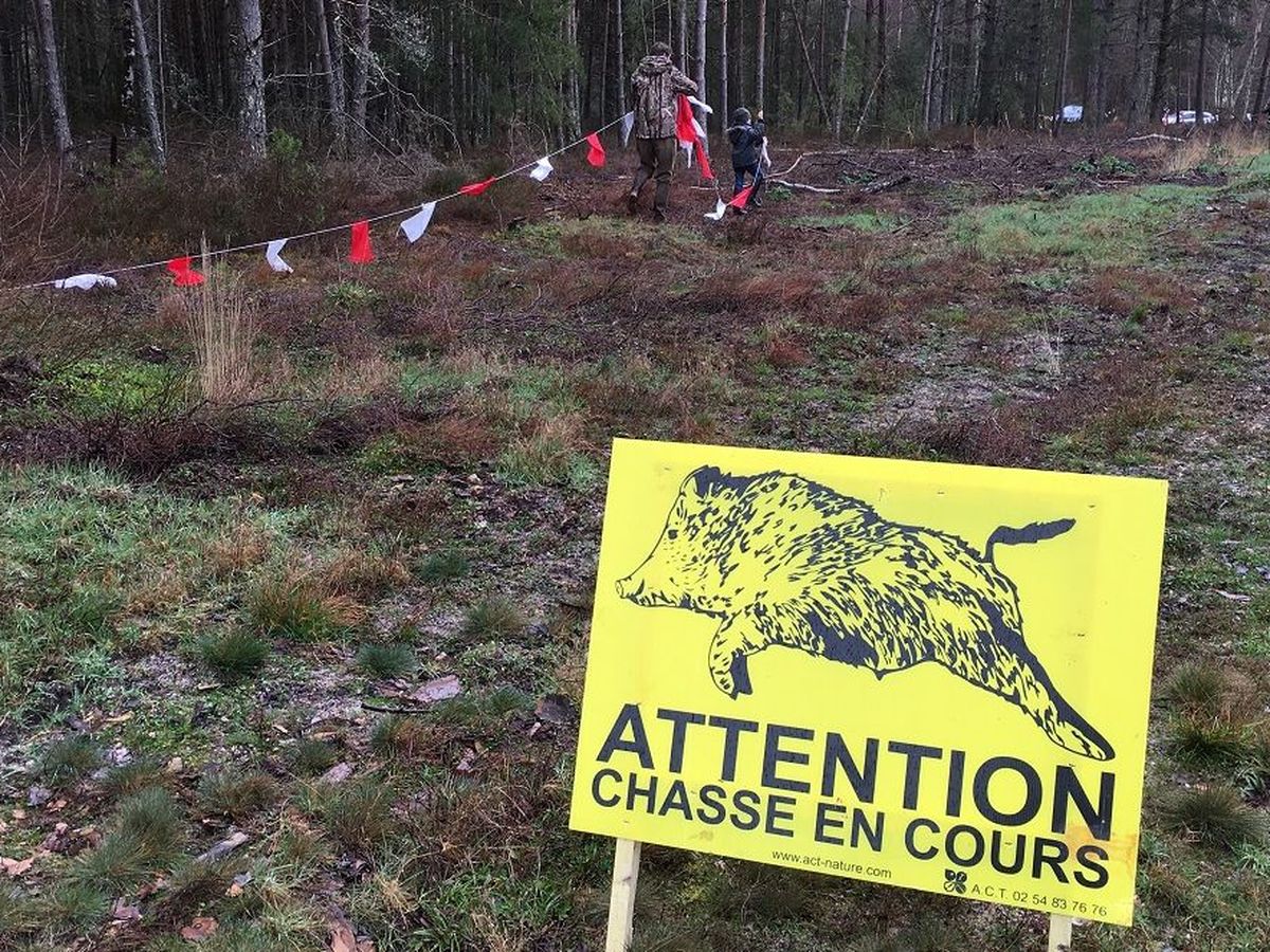 La Sologne engrillagée : pourquoi les grillages sont un danger pour la  Sologne ?