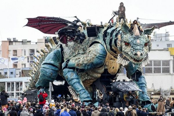 Envie d'un tour à dos de dragon pendant les vacances de février ?