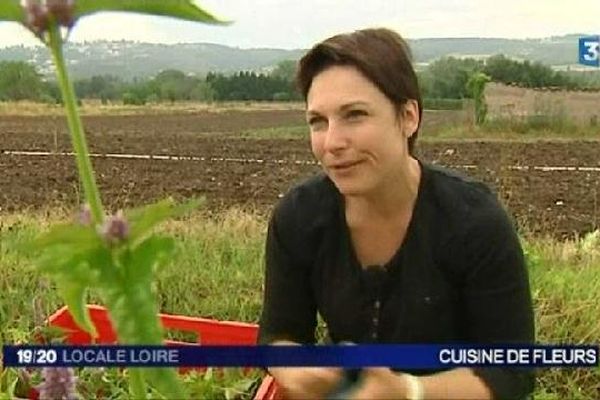 Des Produits Alimentaires A Base De Fleurs A Saint Bonnet Les Oules Loire