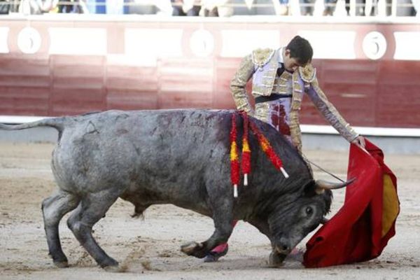 Fortes avec Mucamo. La passe naturelle d'un torero parvenu à maturité