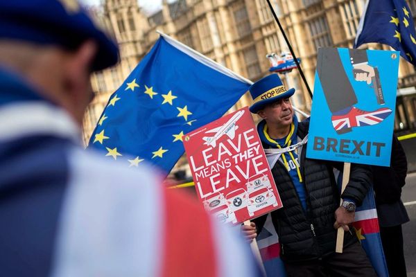 Un manifestant anti "Brexit"