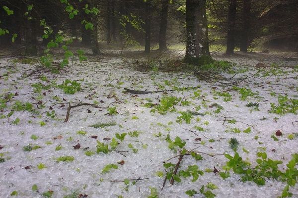 Les grêlons mesuraient jusqu'à 4 cm de diamètre.