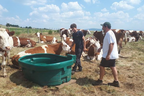 Samuel, agent de remplacement, arrive en période d'agnelage pour soutenir deux agriculteurs tandis que leur troisième associé profite de quelques jours de repos mérité.