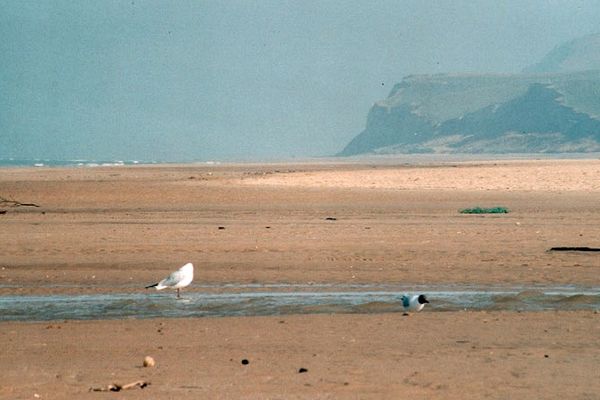 La plage de Wissant, où le corps a été découvert ce mardi soir. 