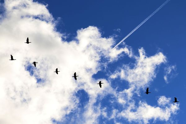 Les nuages sont envahissants et les éclaircies se feront rare pour la journée du vendredi 22 décembre 2023.