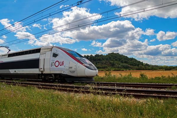 Le trafic TGV et TER sera interrompu en journée. Illustration.