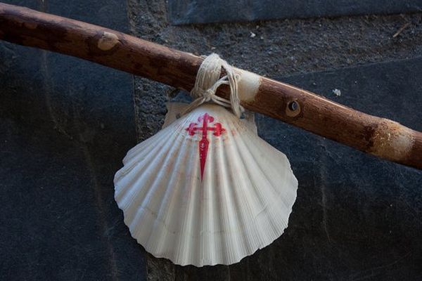 Coquille Saint-Jacques et baton de pèlerin