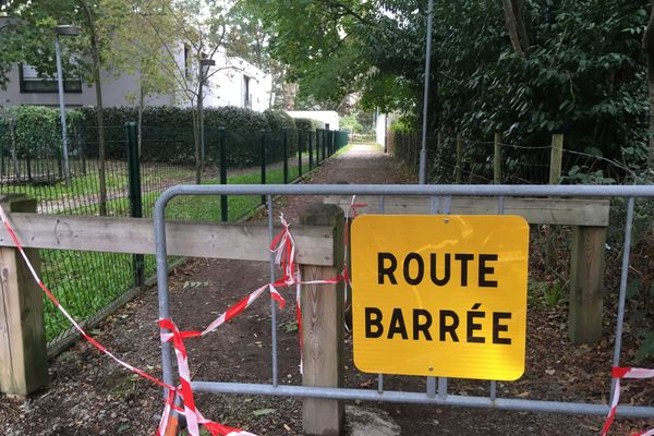 Les alentours de la propriété privée où se trouve l'arbre fragilisé ont été interdits à toute circulation.