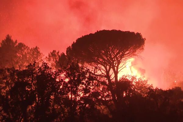 Les incendies font des ravages dans le Var