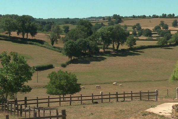 C’est en Saône-et-Loire, dans le Charolais-Brionnais, que se situe le berceau de la race bovine charolaise