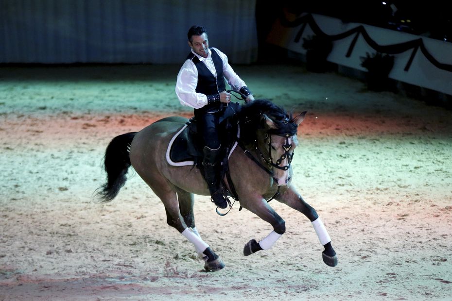 exhibitions, demonstrations and equestrian shows, from January 19 to 23 in Avignon