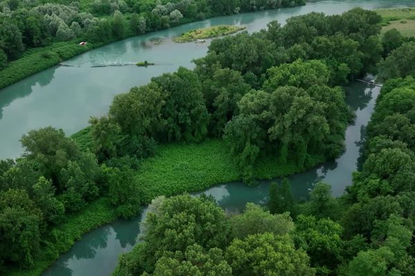 La Réserve Naturelle du Haut Rhône se compose de plusieurs écoulements.