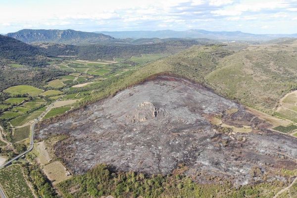 L'incendie du 24 août 2021 a parcouru 20 hectares de garrigue et pinède à Cabrières (Hérault)