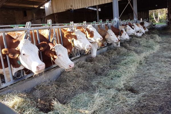 Le Gaec du Pelosset, une ferme aux portes de Lyon, convertie au bio depuis 2017.