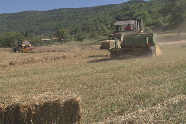 La fenaison à Braux (04)