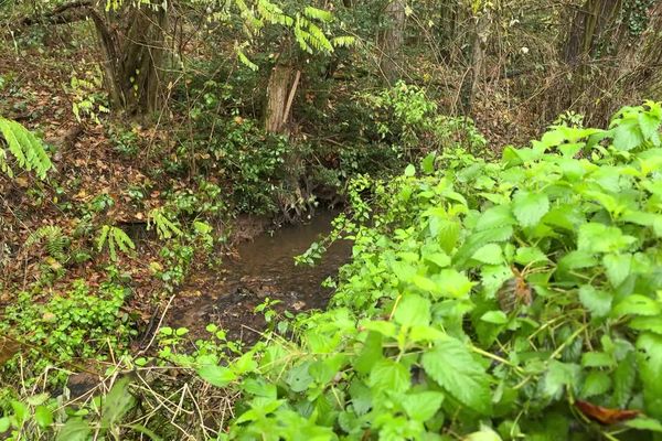 Le corps était immergé dans un petit cours d'eau jouxtant l'avenue de Montvaltin au Creusot. La découverte intitiale s'est faite dimanche après-midi.