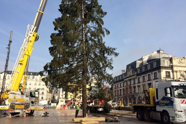 Le sapin de Nöel dressé place de Jaude, à Clermont-Ferrand, mesure 30 mètres et pèse 5 tonnes. 