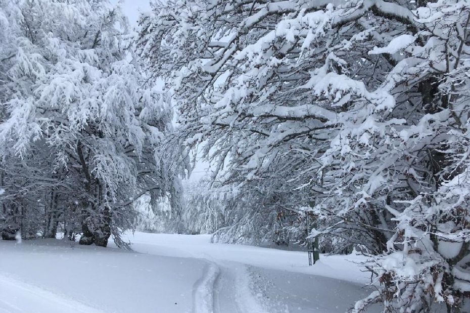 PHOTOS. Quand la neige magnifie les paysages d'Auvergne