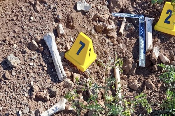 Des restes humains ont été découverts en Haute-Loire.