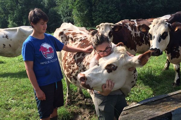 Une conversion au bio réussie chez un laitier du Périgord