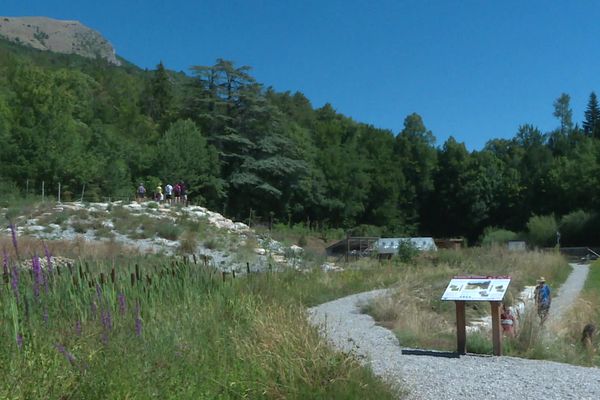 Le Jardin alpin de Gap-Charance propose des balades thématiques autour du réchauffement climatique et de son impact sur la végétation