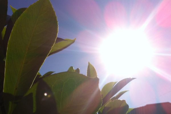 Soleil et chaleur aujourd'hui ! 