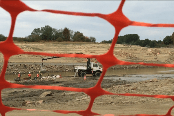 Les agents de la Pêcherie de la Loire stockent les poissons morts dans des "big bags", d'énormes sacs habituellement utilisés pour transporter les gravats des chantiers