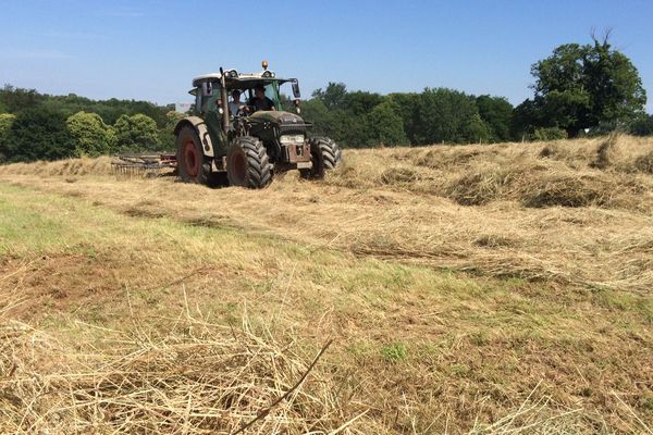 Moisson cet été en Corrèze. 