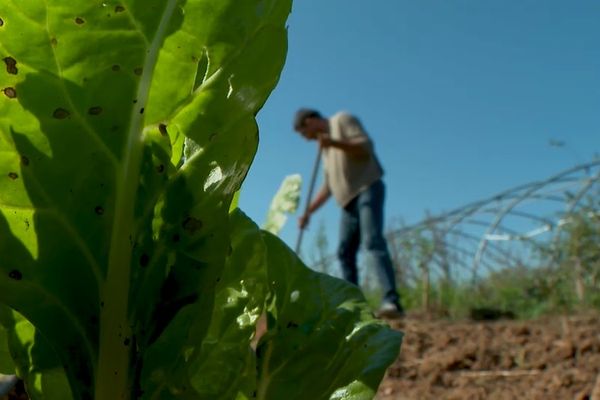 Des terrains constructibles rachetés pour y installer des agriculteurs