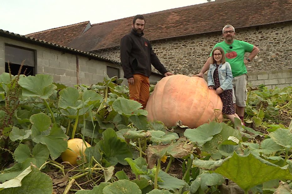 l’homme qui cultive les méga-citrouilles