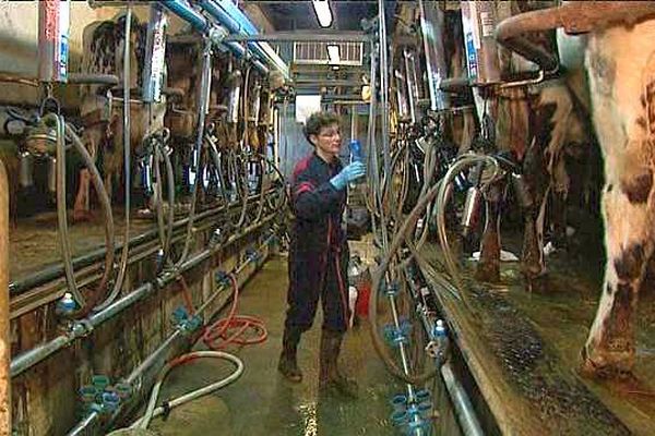 Agnès Ruette à 6h30 du matin dans sa salle de traite